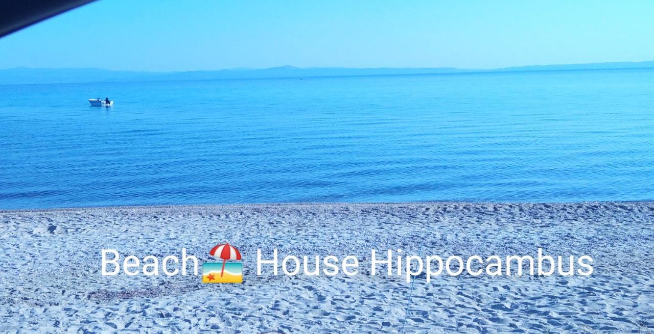 Hippocampus Beach House Polychrono Exterior foto